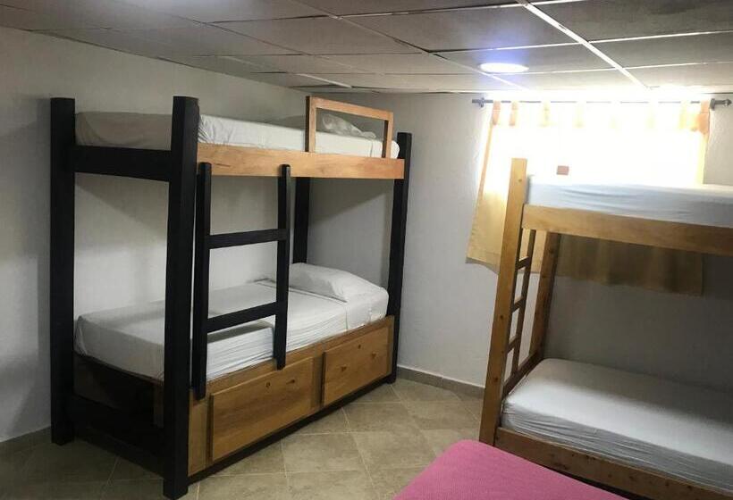 هاستل Hostal El Hangar