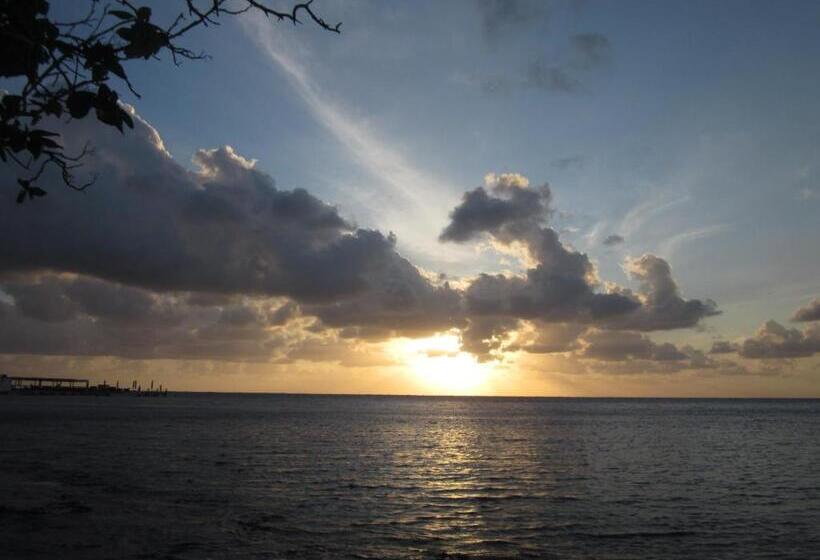 هاستل The Rock House Eco