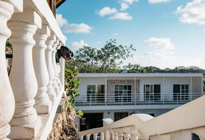 هاستل The Rock House Eco