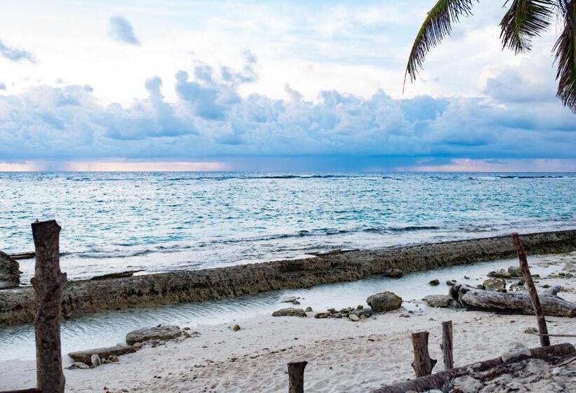 هاستل The Rock House Eco