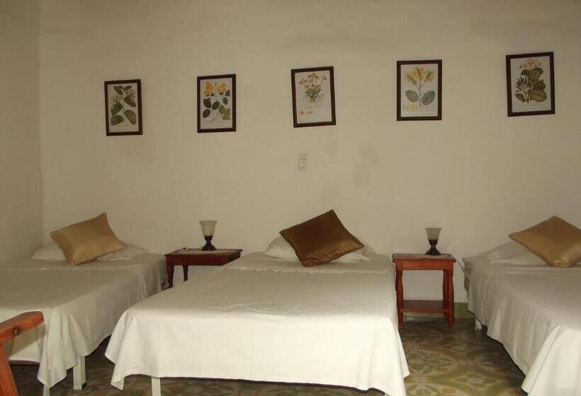 هتل Casa Belle Epoque