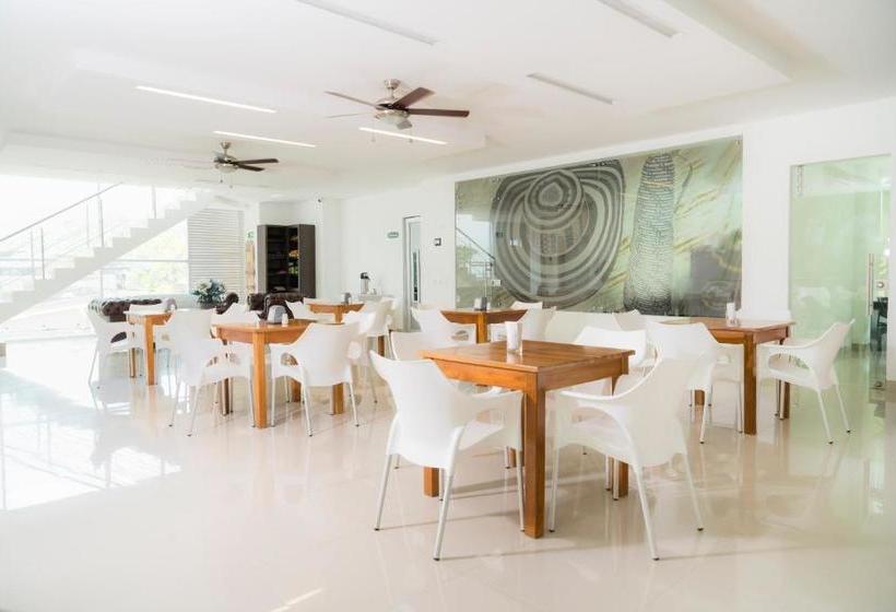 هتل Cinco Monteria