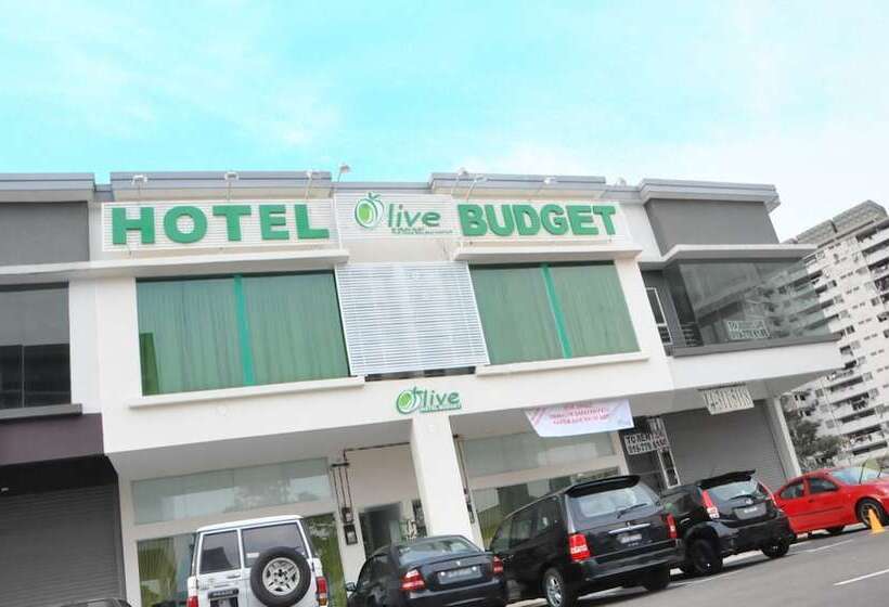 호텔 Olive