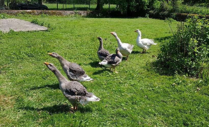 مبيت وإفطار Manoir De La Presle Ornella Et Stéphane