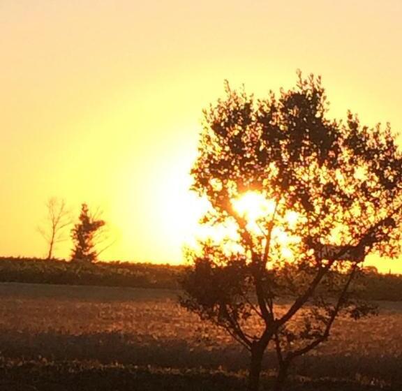 مبيت وإفطار Chateau Pech Céleyran