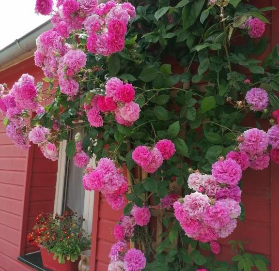 مبيت وإفطار La Ferme De Kerraoul