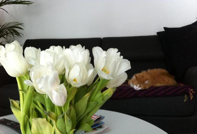 צימר La Maison Carolane