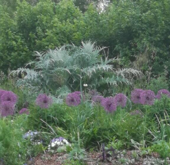 مبيت وإفطار Les Chambres Du Faubourg