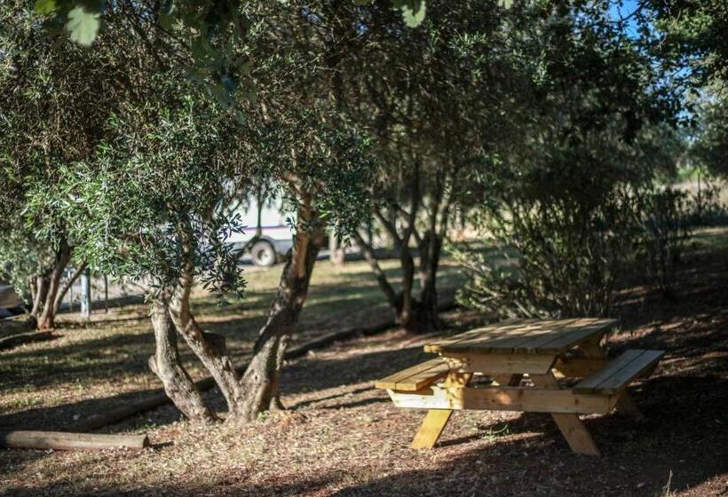 בית מלון כפרי Ibis Budget Le Cannet Des Maures