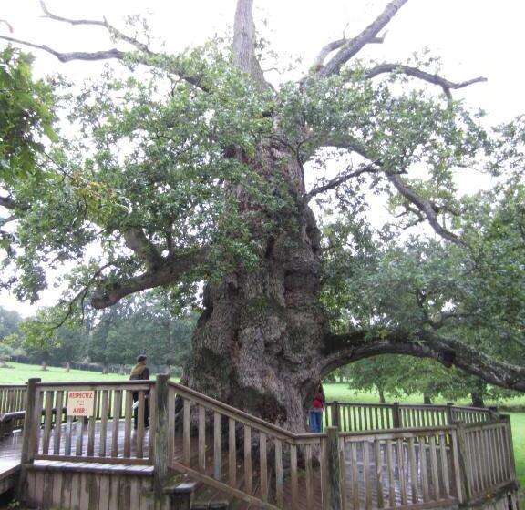 مبيت وإفطار Ar Litorienn