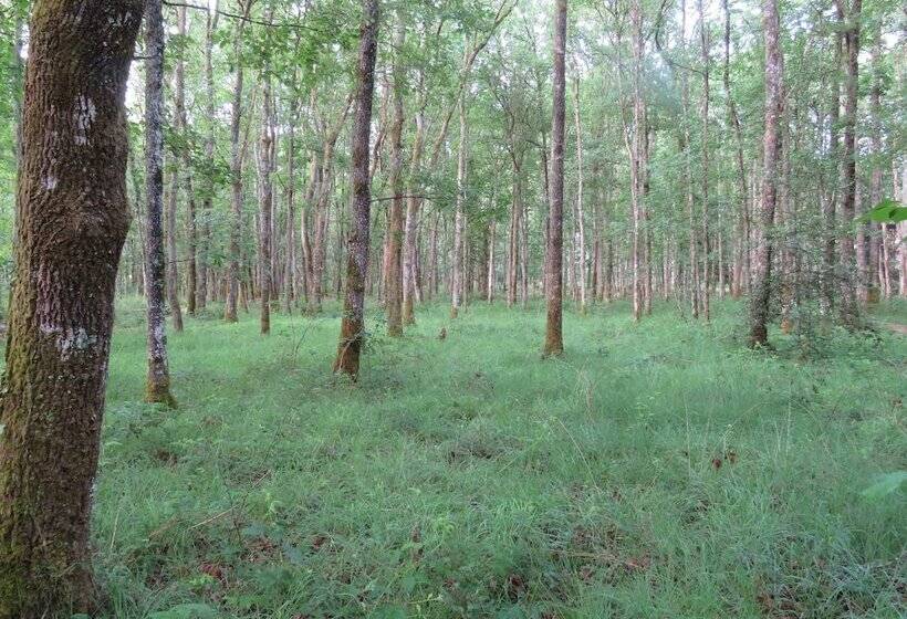 צימר Chambres D Hôtes La Brillève