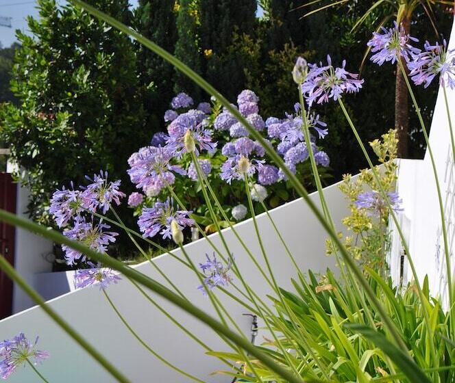 تختخواب و صبحانه Chez Phil Et Dom