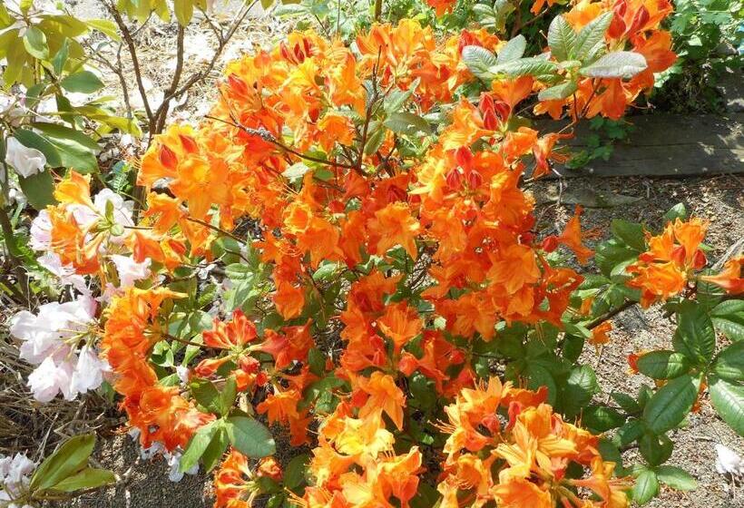 住宿加早餐  Gîte La Charmaie