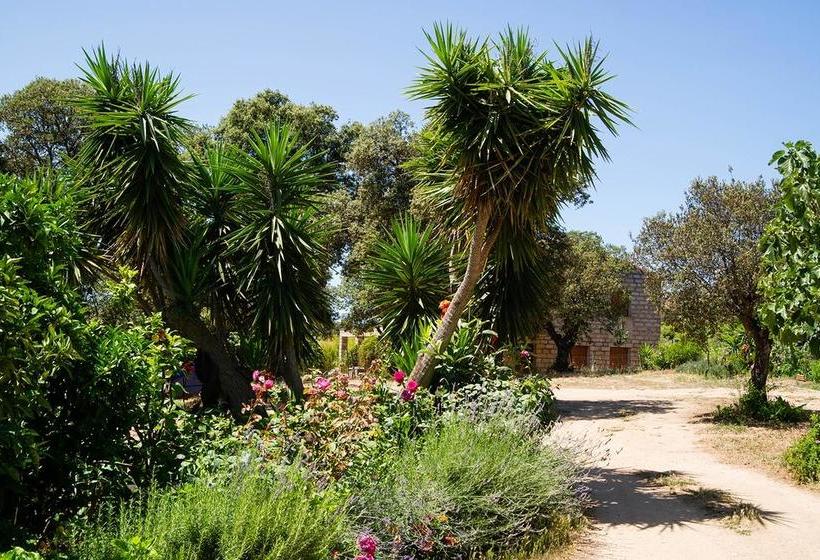 مبيت وإفطار I Casilari