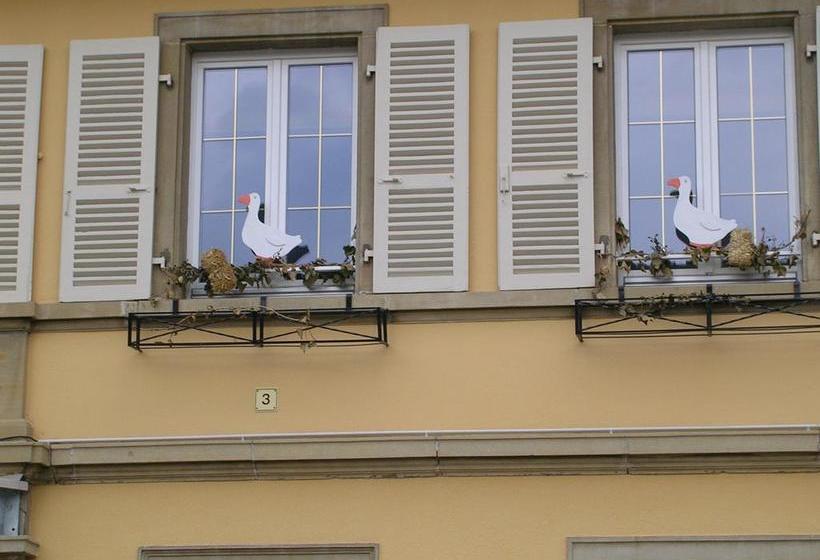 酒店 Le Soleil D Or