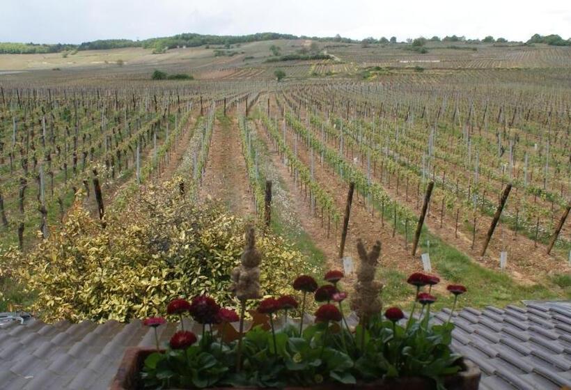 住宿加早餐  Chambre D'hotes Le Vogelgarten