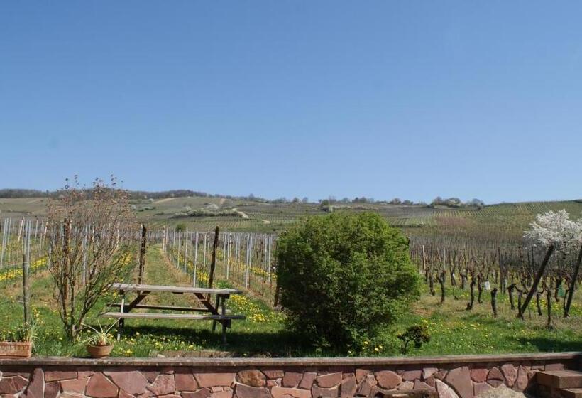 住宿加早餐  Chambre D'hotes Le Vogelgarten