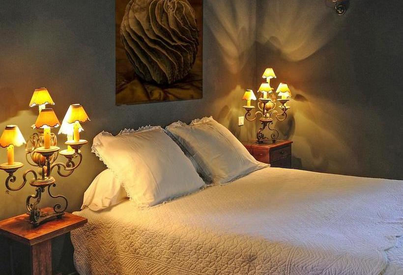 Bed and Breakfast Maison D'hôtes La Singulière