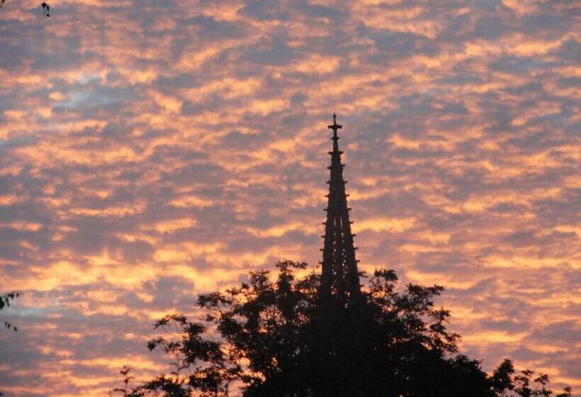 酒店 Restaurant Le Moschenross