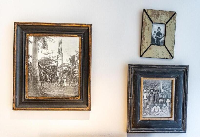 צימר La Maison Pavie