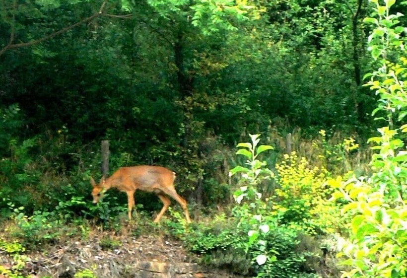 住宿加早餐  Le Croissant De Lune