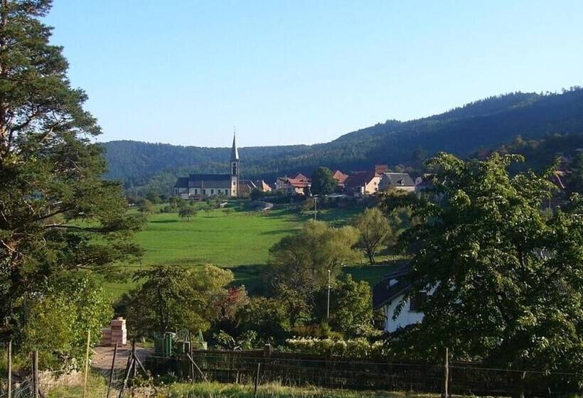 酒店 Hôtel Du Haut Koenigsbourg  Entre Vignes Et Château