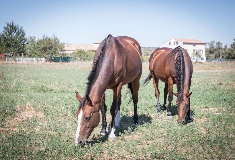 فندق Le President Gare Nimes Pont Du Gard