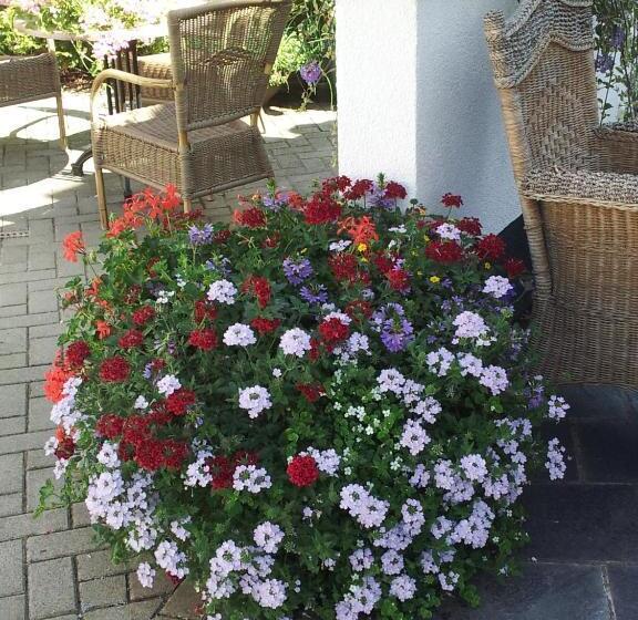 تختخواب و صبحانه De Witte Molen Kranenburg