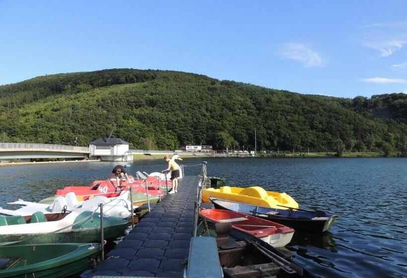 בית מלון כפרי Am See