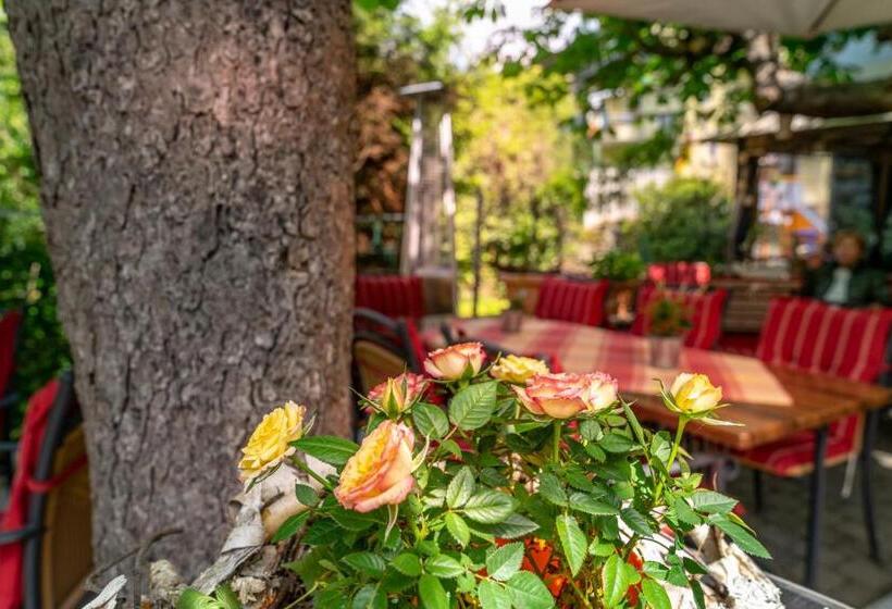 ホテル Goldener Pfropfenzieher