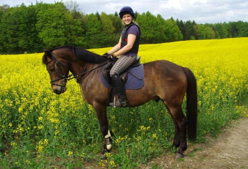 בית מלון כפרי Ponyhof Naeve Am Wittensee