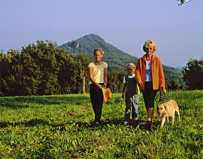 ホテル Zum Ochsen