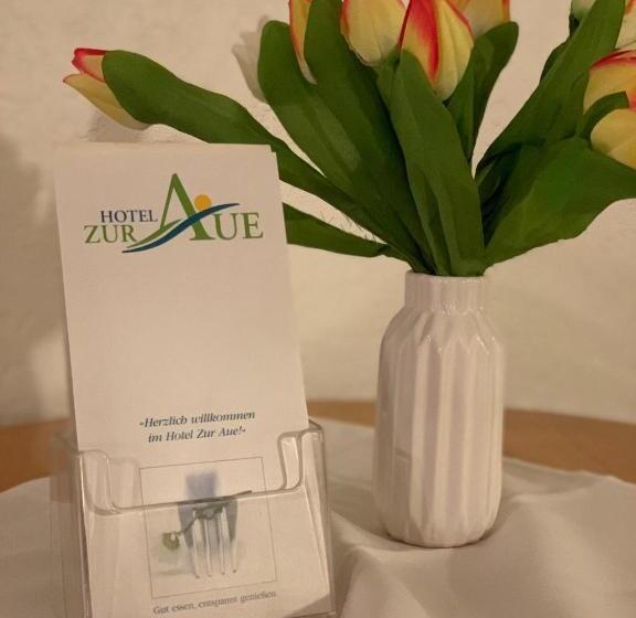 호텔 Zur Aue
