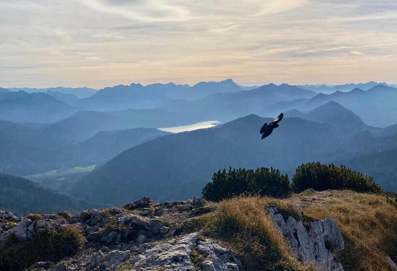 Отель Alpenhof Krün