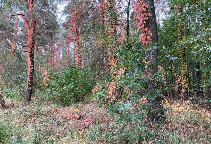 בית מלון כפרי Prinz Albrecht