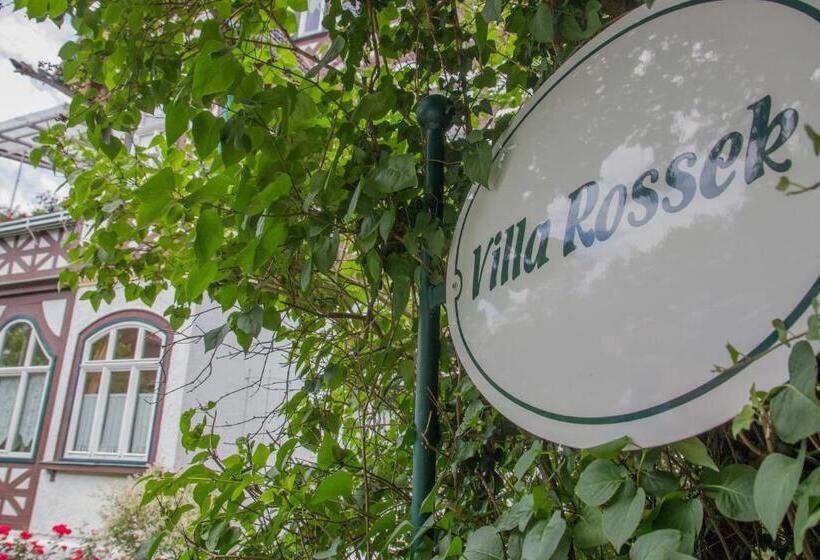호텔 Villa Rossek