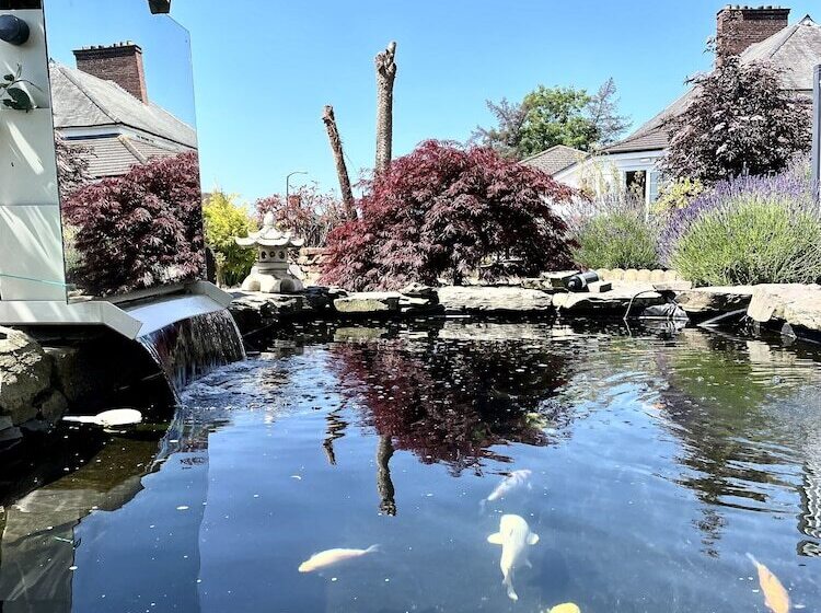 مبيت وإفطار Bojangles Guest House