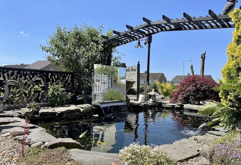 مبيت وإفطار Bojangles Guest House