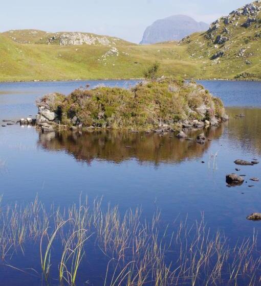 Bed and Breakfast Davar