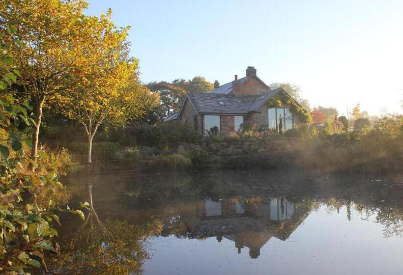 Bed and Breakfast Hayeswood Lodge Luxury Accommodation