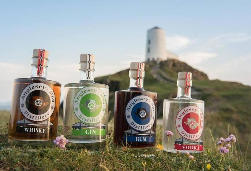 ベッドアンドブレックファースト Parc Yr Odyn