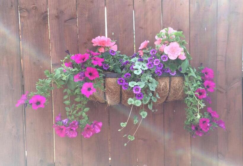 مبيت وإفطار Rosehill Guest House