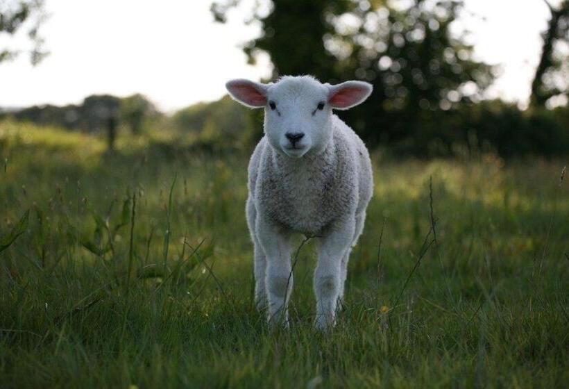 مبيت وإفطار Spillers Farm