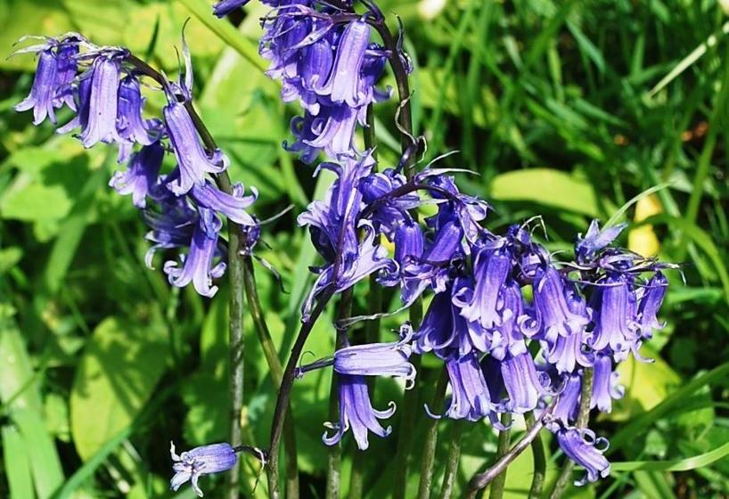 민박 Carlton Lodge