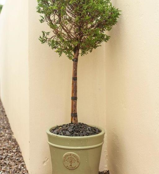 צימר The Great Western