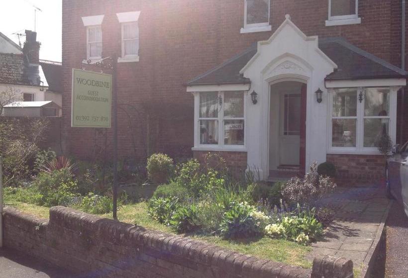 مبيت وإفطار Woodbine Guest Accommodation