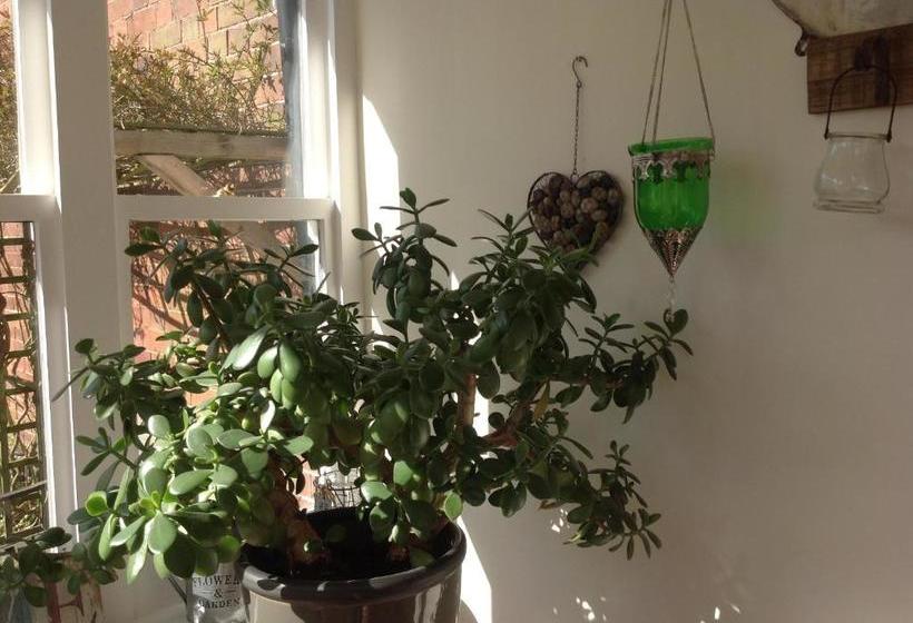 مبيت وإفطار Woodbine Guest Accommodation