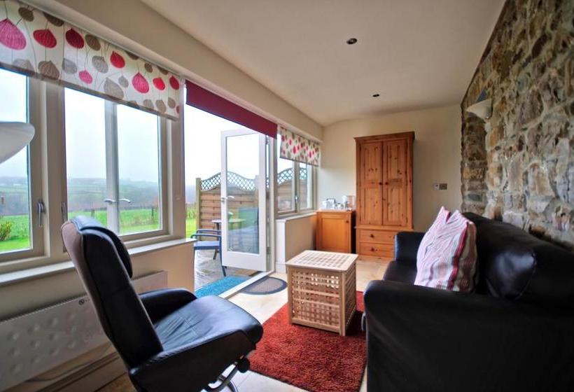 住宿加早餐  Canaston Oaks