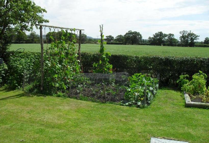 Fernlea Cottage Bed And Breakfast