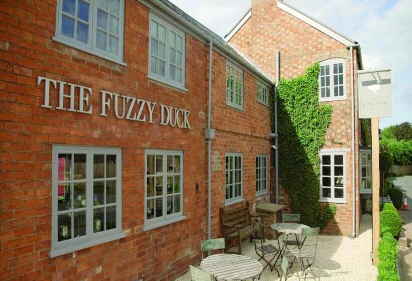 酒店 The Fuzzy Duck